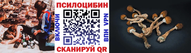Галлюциногенные грибы прущие грибы  ОМГ ОМГ рабочий сайт  darknet формула  Сусуман 
